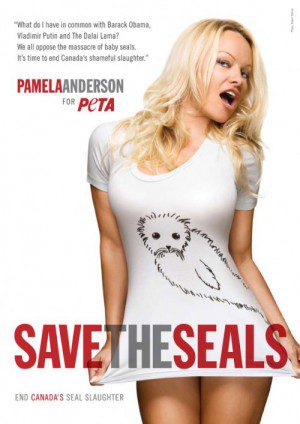 pamela anderson