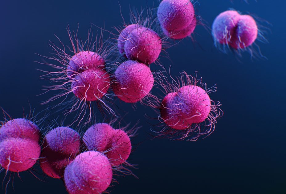 New Strain of Multi-Drug Resistant Gonorrhea Detected in the US for the First Time