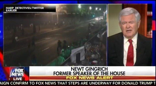 newt sharia deported