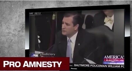 ted amnesty