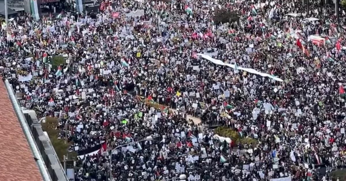 Tens of Thousands of Pro-Palestinian Protestors March in DC (VIDEO) | The Gateway Pundit | by David Greyson