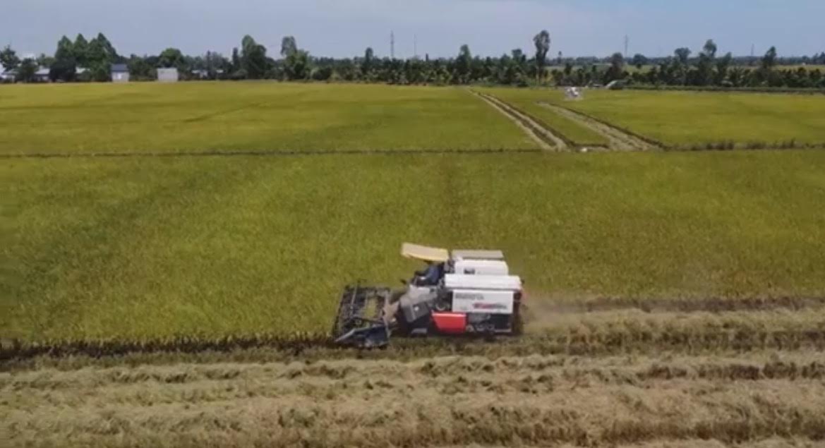 Climate Cultists Blame Global Warming on Rice