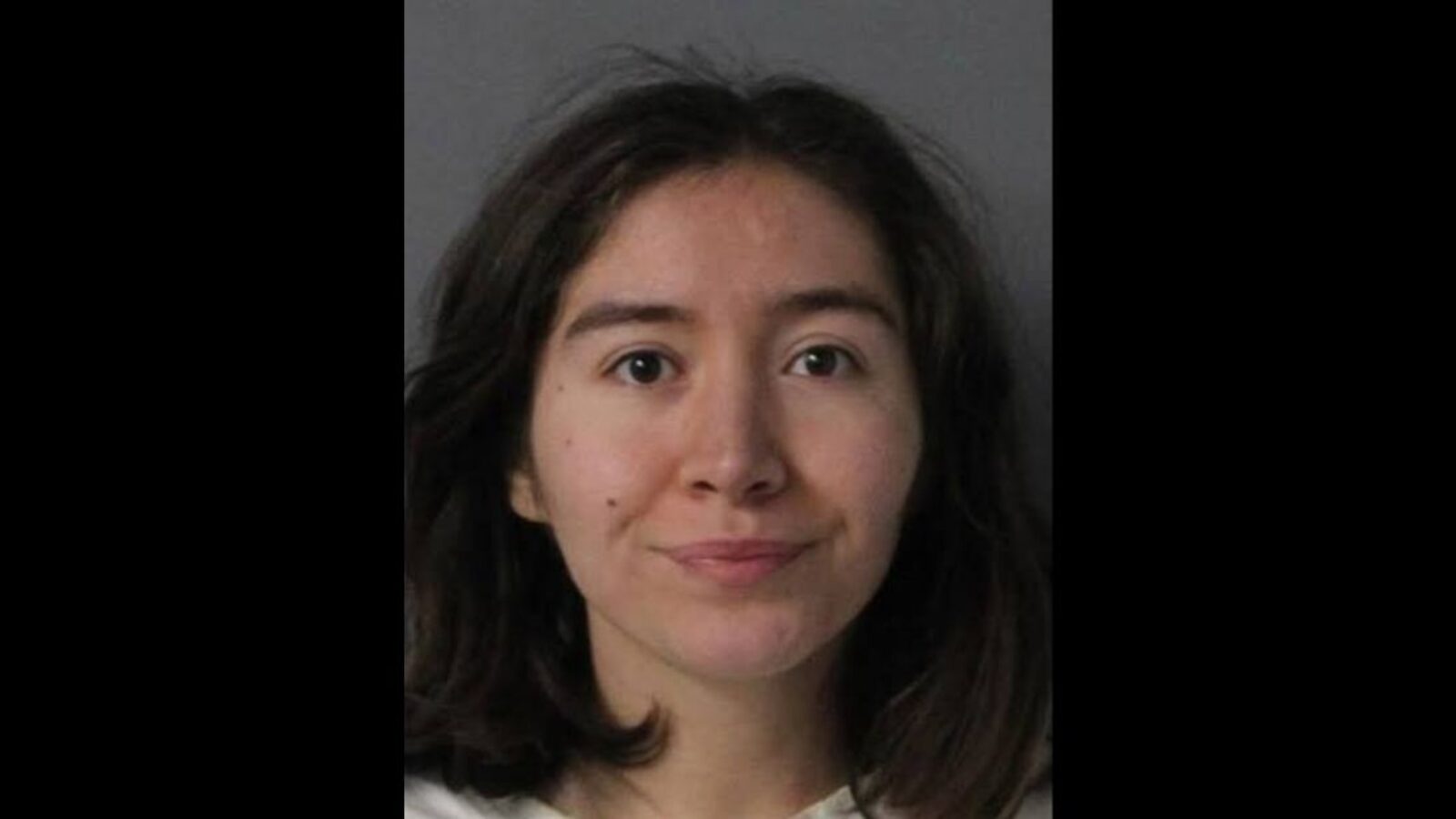 Former Disney actress Bridget Shergalis was arrested on charges related to vandalism.