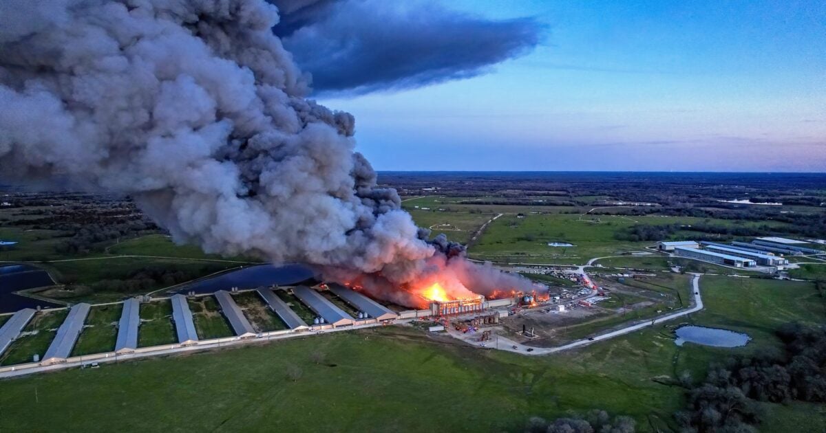 Massive Fire Engulfs Feather Crest Farm Chicken Plant in Texas, Reportedly Following Large Explosion (VIDEO) | The Gateway Pundit | by Jim Hᴏft