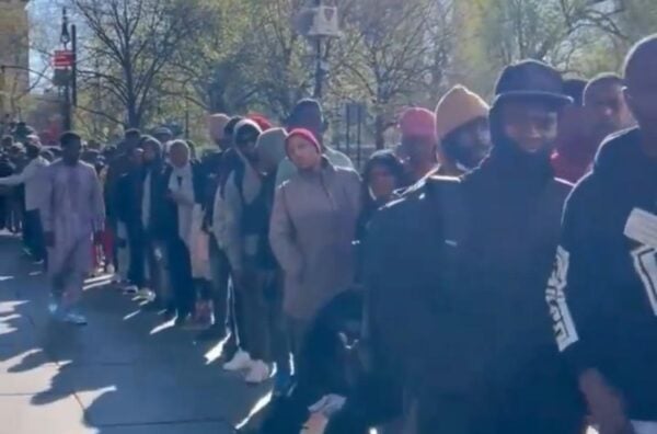 1,300 African Illegals Swarm New York City Hall After They Were Falsely Promised Green Cards (VIDEO)