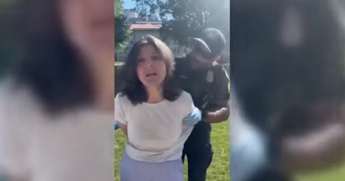 Oops: Emory University Professor Admits to Hitting Police Officer Before She Was Arrested (Video)