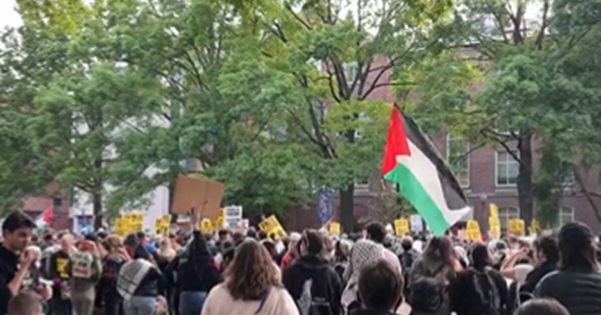 Republican Introduces Bill That Would Send Anti-Israel Campus Protesters to Gaza for Six Months if Found Guilty of Illegal Activity
