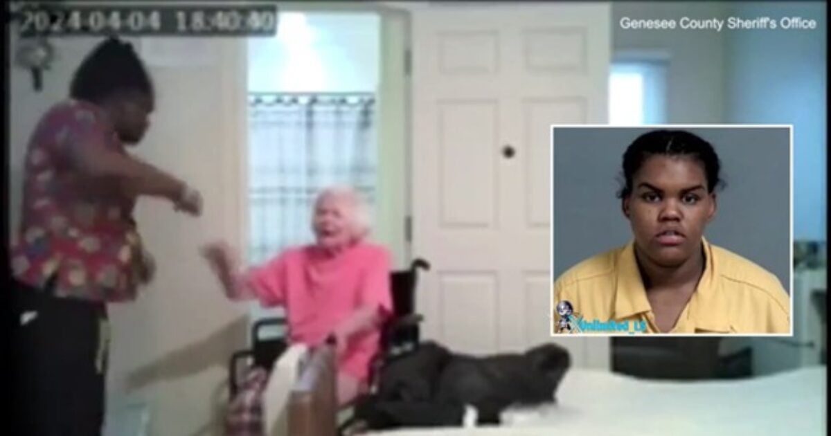 PURE EVIL: Michigan Caregiver Viciously Beats Helpless 93-Year-Old Dementia Patient Before Choking Her – Victim’s Daughter Reveals How Family Caught the Attack on Tape (VIDEO) | The Gateway Pundit