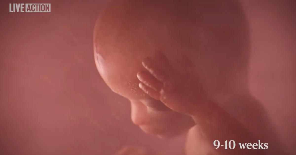 Tennessee Governor Signs ‘Baby Olivia Act’ Requiring Public Schools to Show Students Video of Unborn Babies Developing in the Womb (Video)