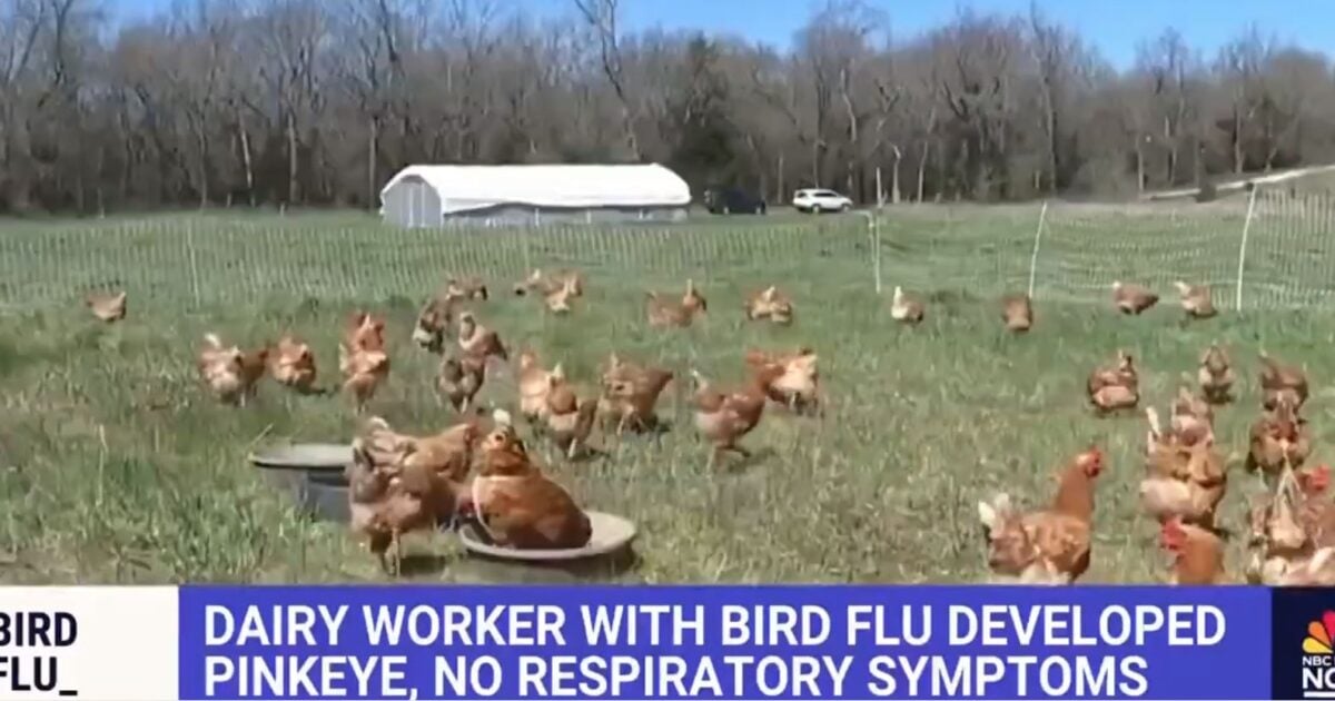 Here We Go… Farmworker Gets Bird Flu in First Reported Case of Transmission from Farm Animals to Humans