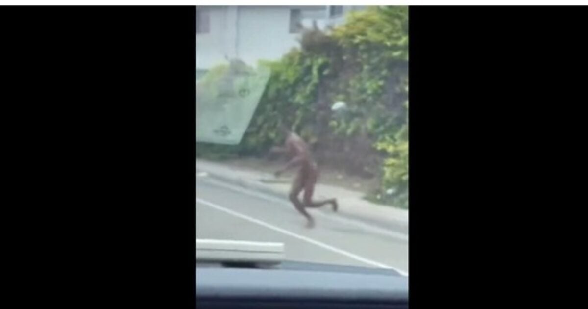 California Lunacy: Naked Man Streaks Across Traffic and Gets Smacked by Car (VIDEO)