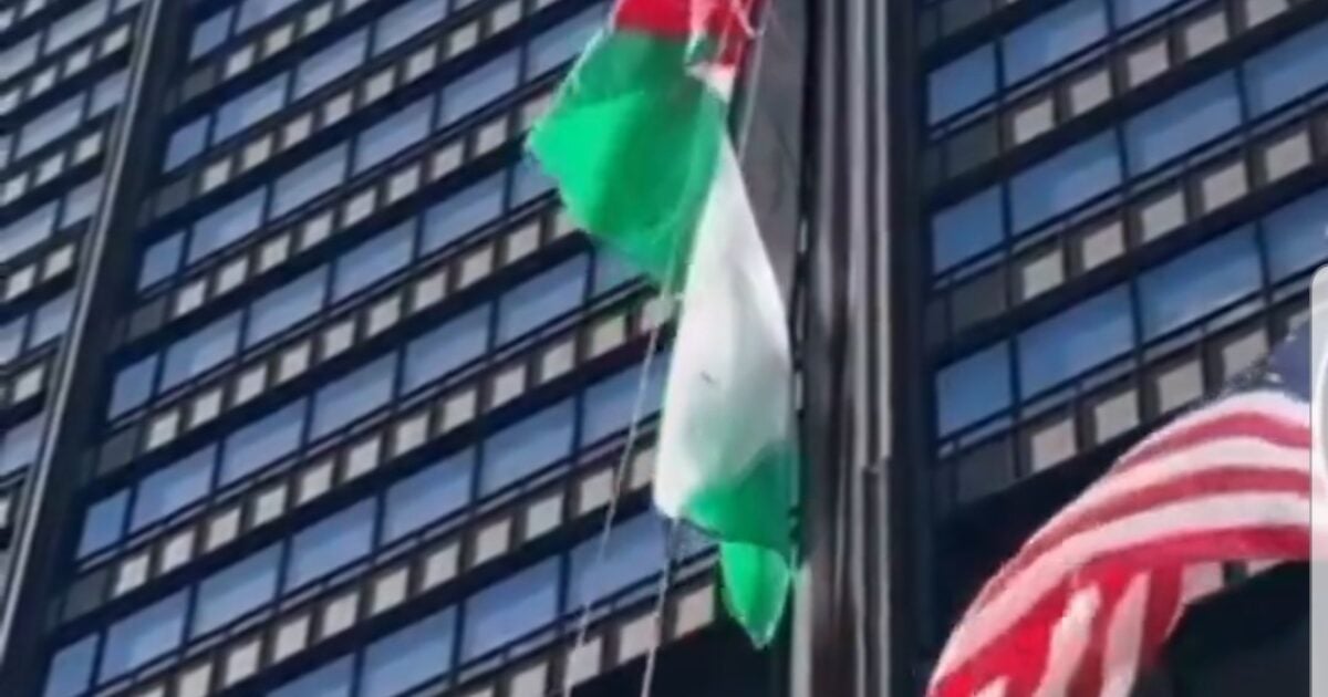 DISGRACE: Pro-Hamas Thugs Raise Palestinian Flag at Daley Plaza in Chicago Higher Than American Flag (VIDEO)