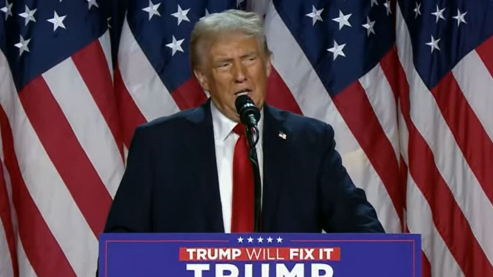 Former President Donald Trump speaking after declaring victory in the 2024 Election on November 6, 2024.