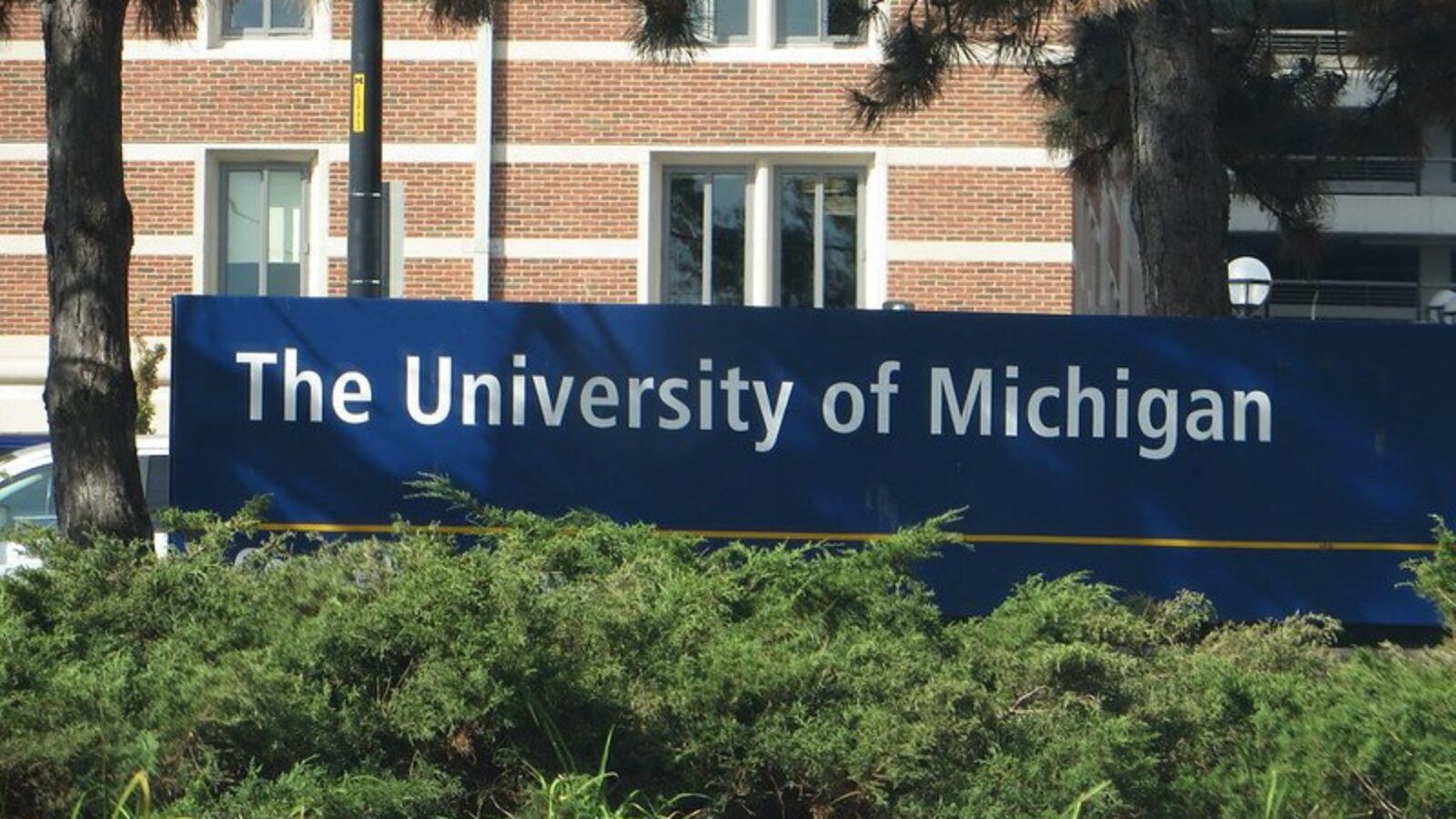 Signage for The University of Michigan displayed prominently in a landscaped area, showcasing the institution's name in a clear and inviting manner.