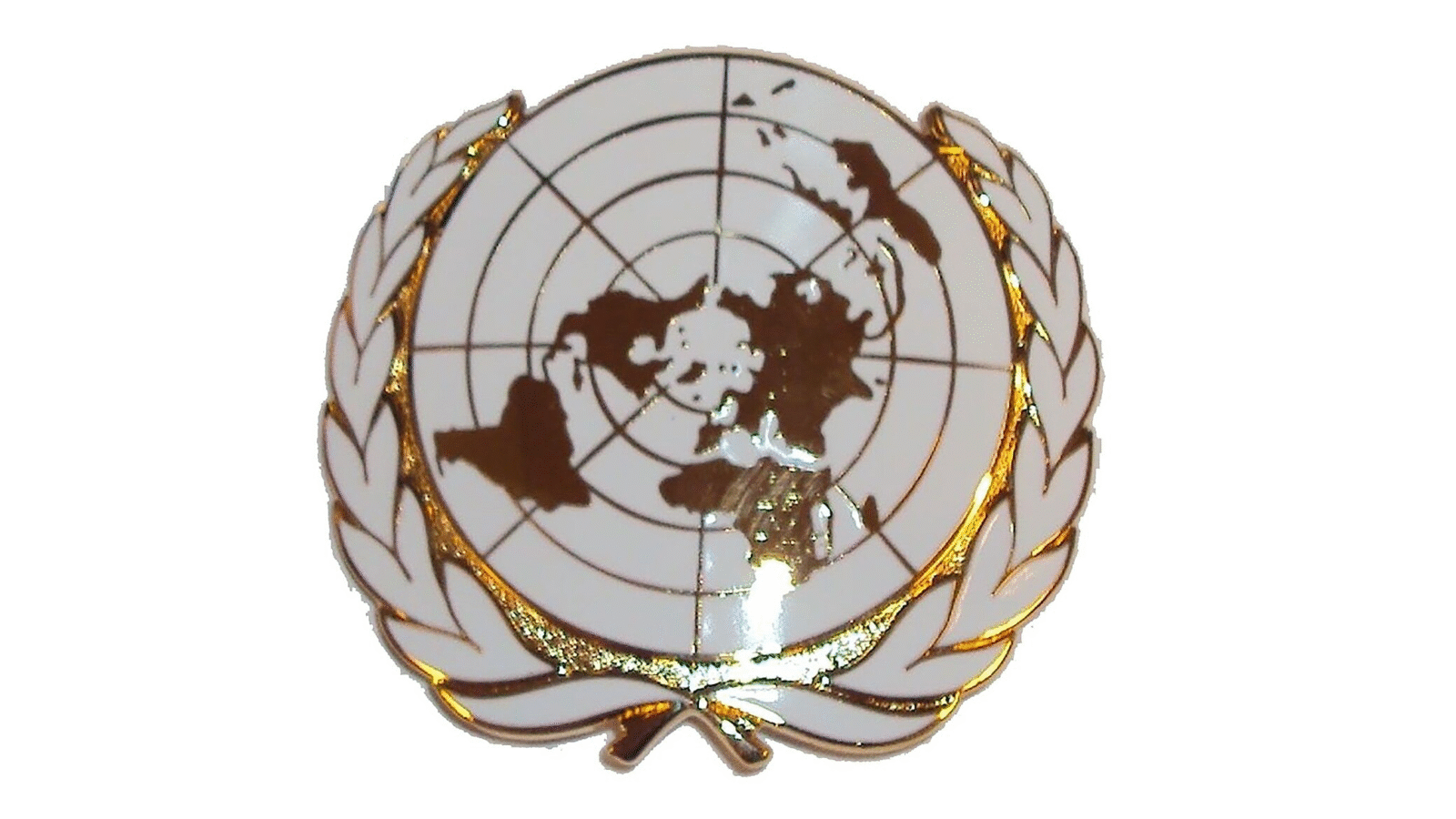 United Nations emblem with a globe design surrounded by olive branches, symbolizing peace and international cooperation.