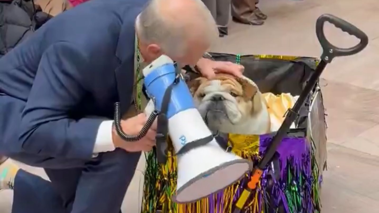 A man in a suit kneels beside a bulldog in a decorated cart, holding a megaphone while petting the dog in a lively setting.