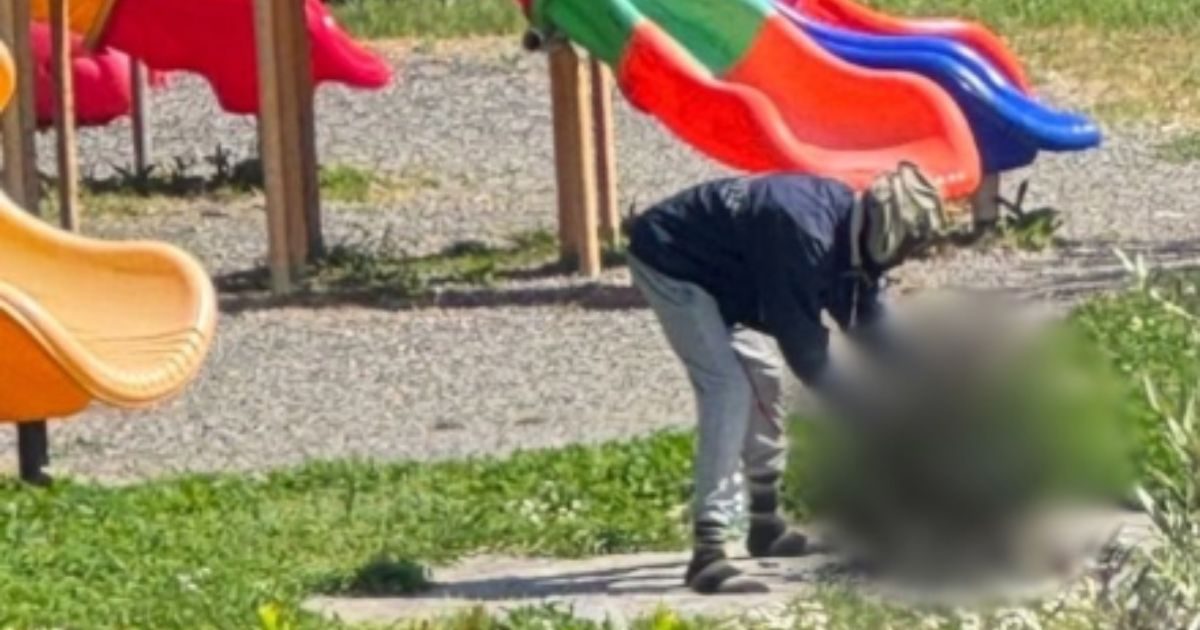 A European news outlet reported that a Nigerian immigrant killed a cat and attempted to cook it at a playground in Italy.