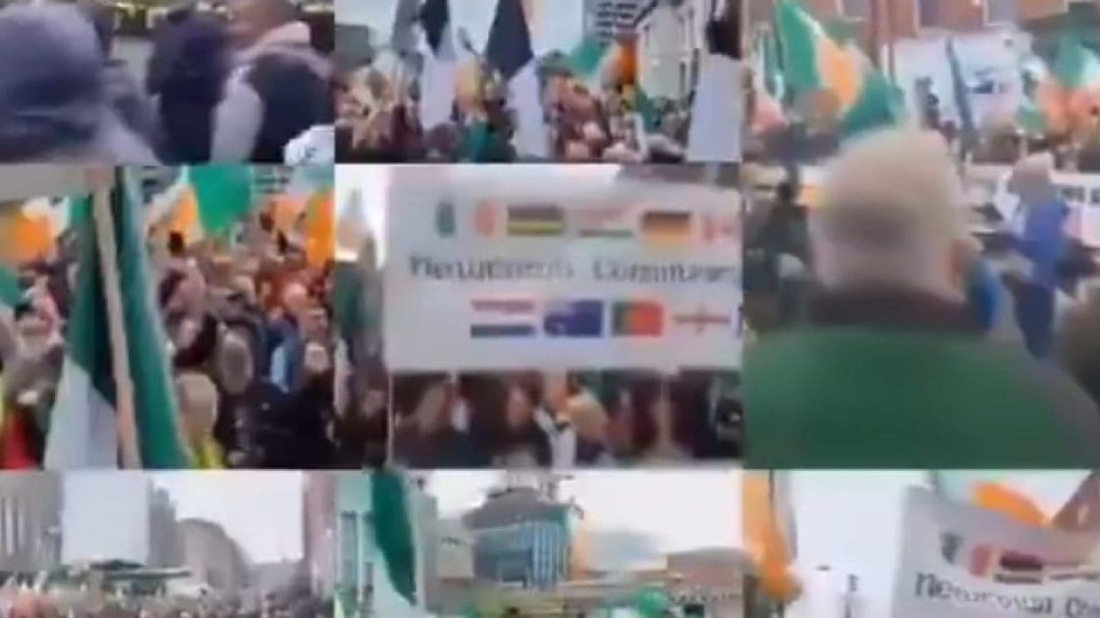 Crowd of protesters waving flags and holding signs during a political rally, showcasing diverse banners and a strong sense of community engagement.