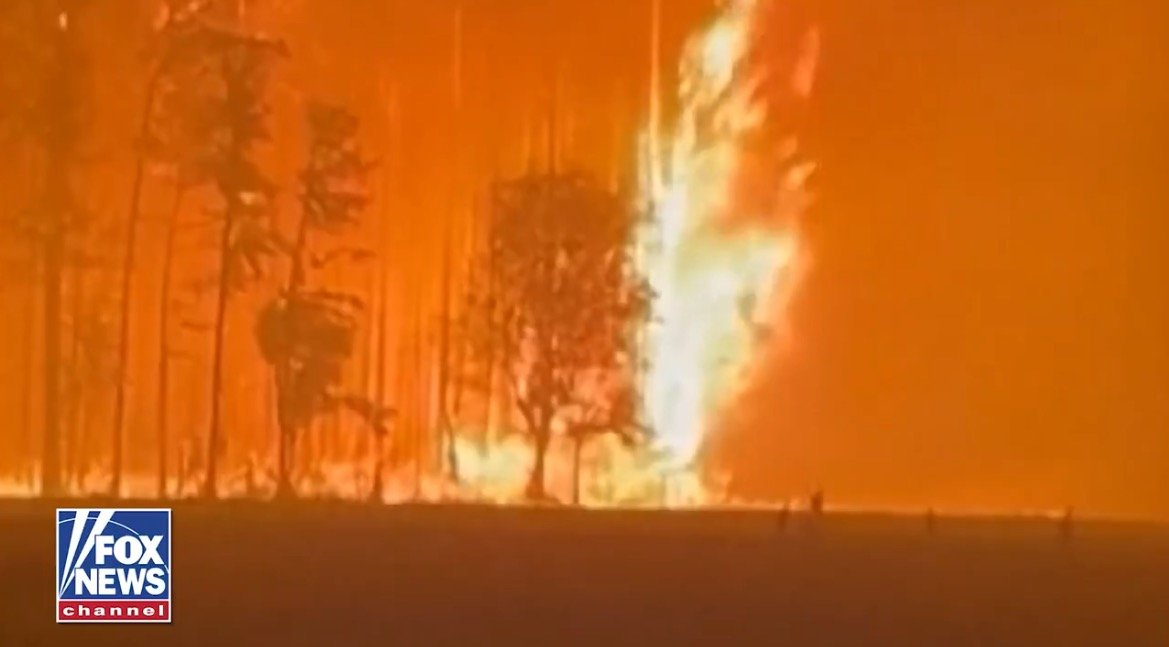 Intense wildfire engulfing trees in an orange-hued landscape, showcasing the destructive impact of forest fires on the environment.