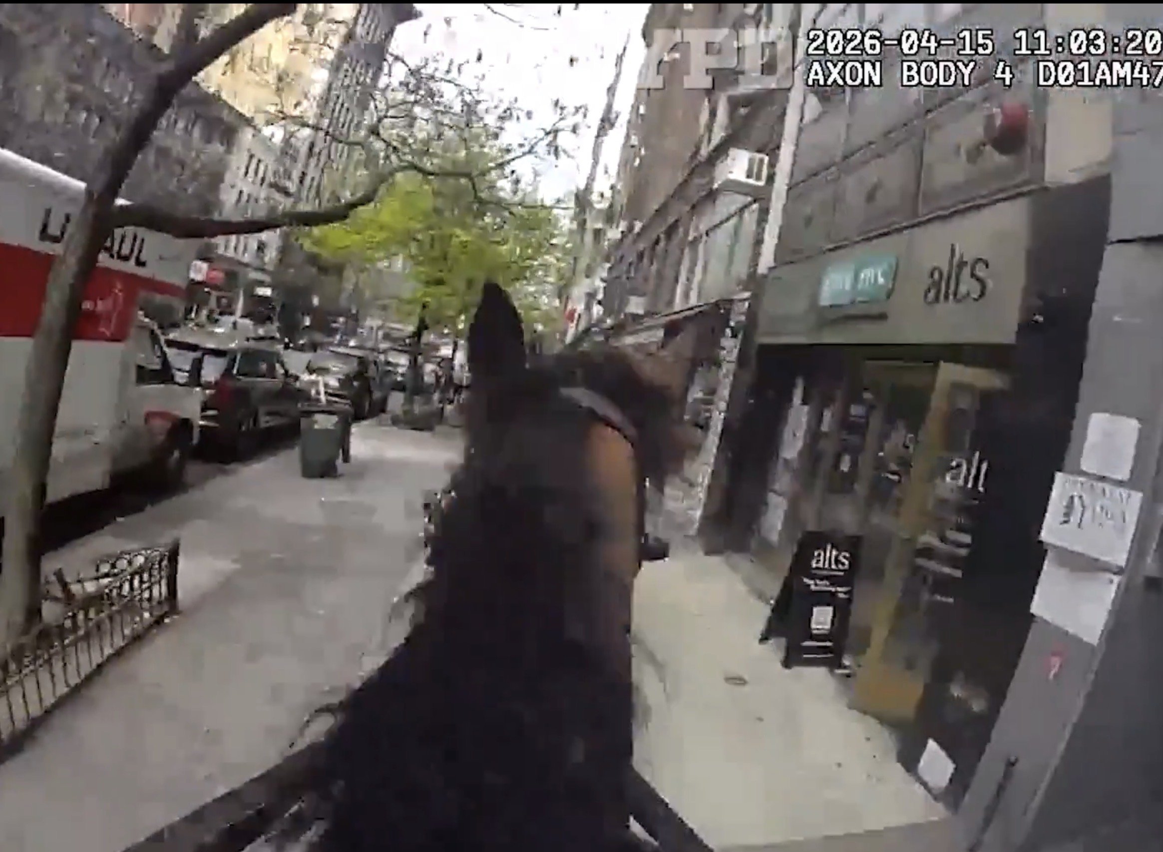 Insane Bodycam Footage Shows NYPD Police Horse Chasing Down Lowlife Purse Snatcher (VIDEO)