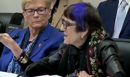 “You Don’t Have the Right to Say Climate Change is a Hoax!”- Purple-Haired Democrat LOSES IT as Lee Zeldin Schools Her on Two Landmark Supreme Court Cases (VIDEO)