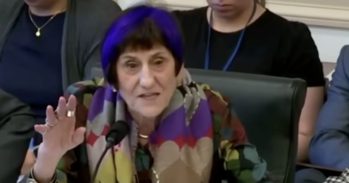 A woman with purple highlights speaks passionately at a committee meeting, emphasizing her points while seated at a table with attentive listeners in the background.