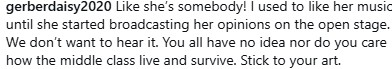 Comment expressing disappointment over a musician's shift from art to sharing personal opinions, highlighting concerns about middle-class struggles.
