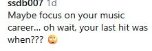 Text comment questioning a musician's recent activity, highlighting a gap since their last hit song.