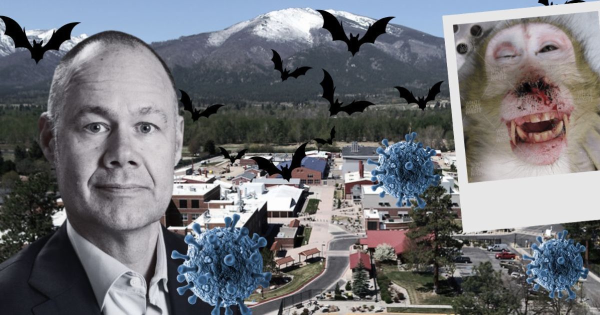 Image depicting a man in a suit with a background of a mountainous town, bats, and a monkey showing signs of illness, symbolizing viral outbreaks.