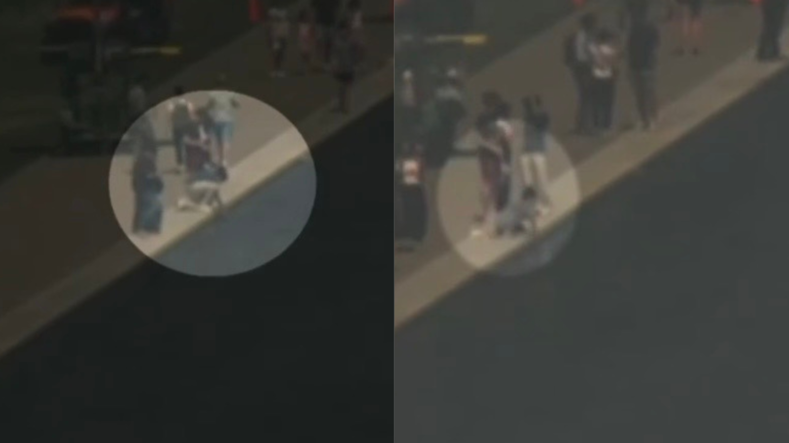 Crowd gathered near a waterway, with individuals interacting on the shore, captured from an aerial perspective.