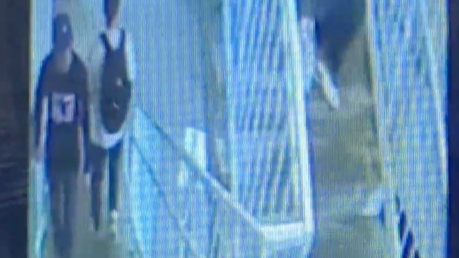 Two individuals walking on a pathway captured by surveillance camera, one wearing a black shirt and the other with a backpack.