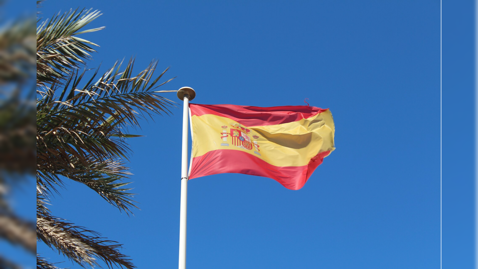 Spanish flag waving against a clear blue sky, surrounded by palm tree leaves.