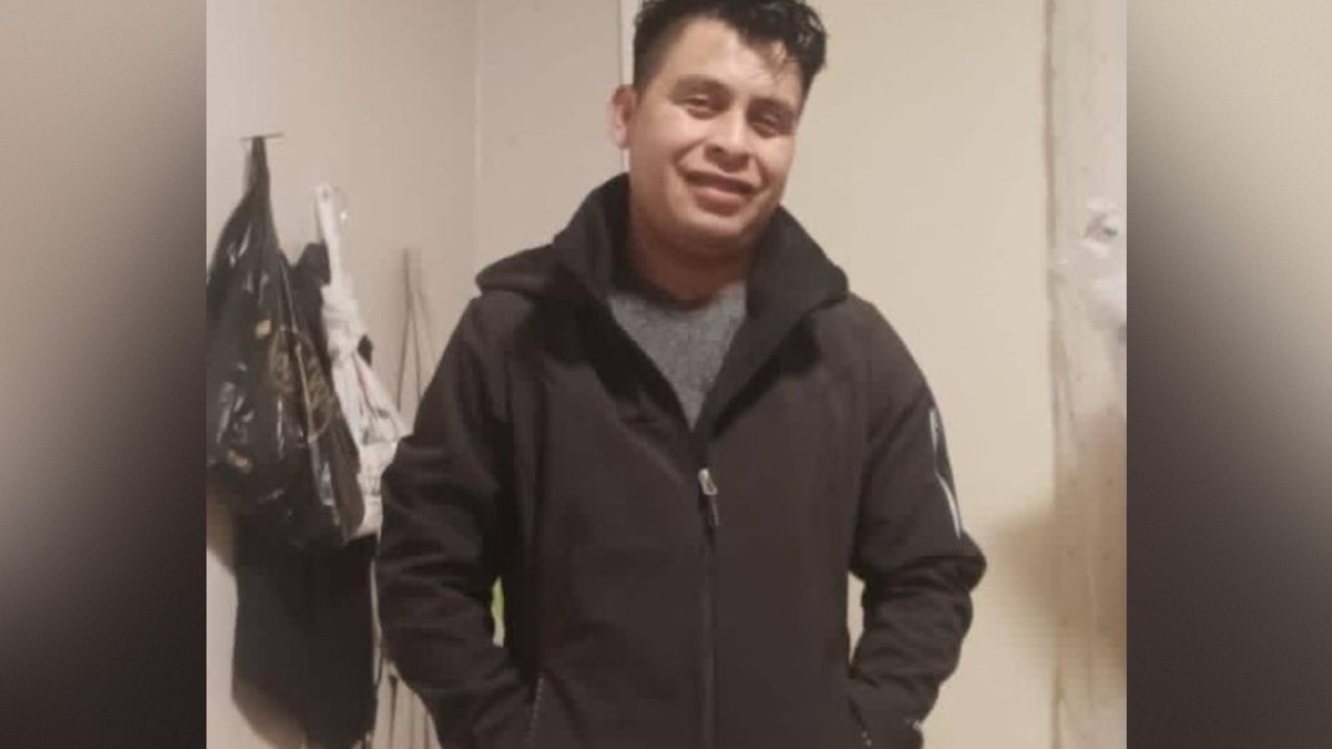 Previously Deported Illegal Alien Dies After Fleeing ICE Stop, Slams Into Tree at Over 100 MPH — Rashida Tlaib Immediately Claims “ICE Killed Another Man”
