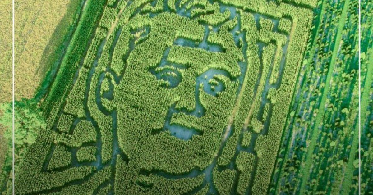 Indiana Farm Honors Charlie Kirk with Corn Maze, Then Gets Review-Bombed by Lunatic Leftists (VIDEO)