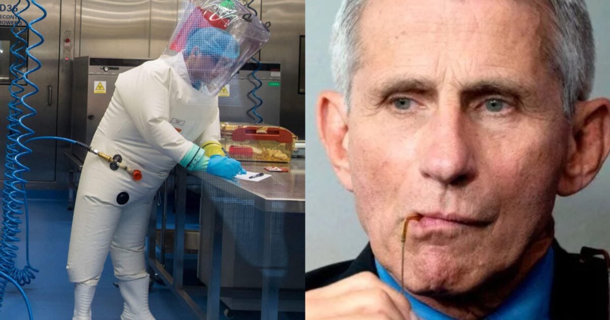 BREAKING: Dr. Fauci Funded 60 Projects at the Wuhan Institute of Virology and All Were in Conjunction with the Chinese Military | The Gateway Pundit | by Joe Hoft