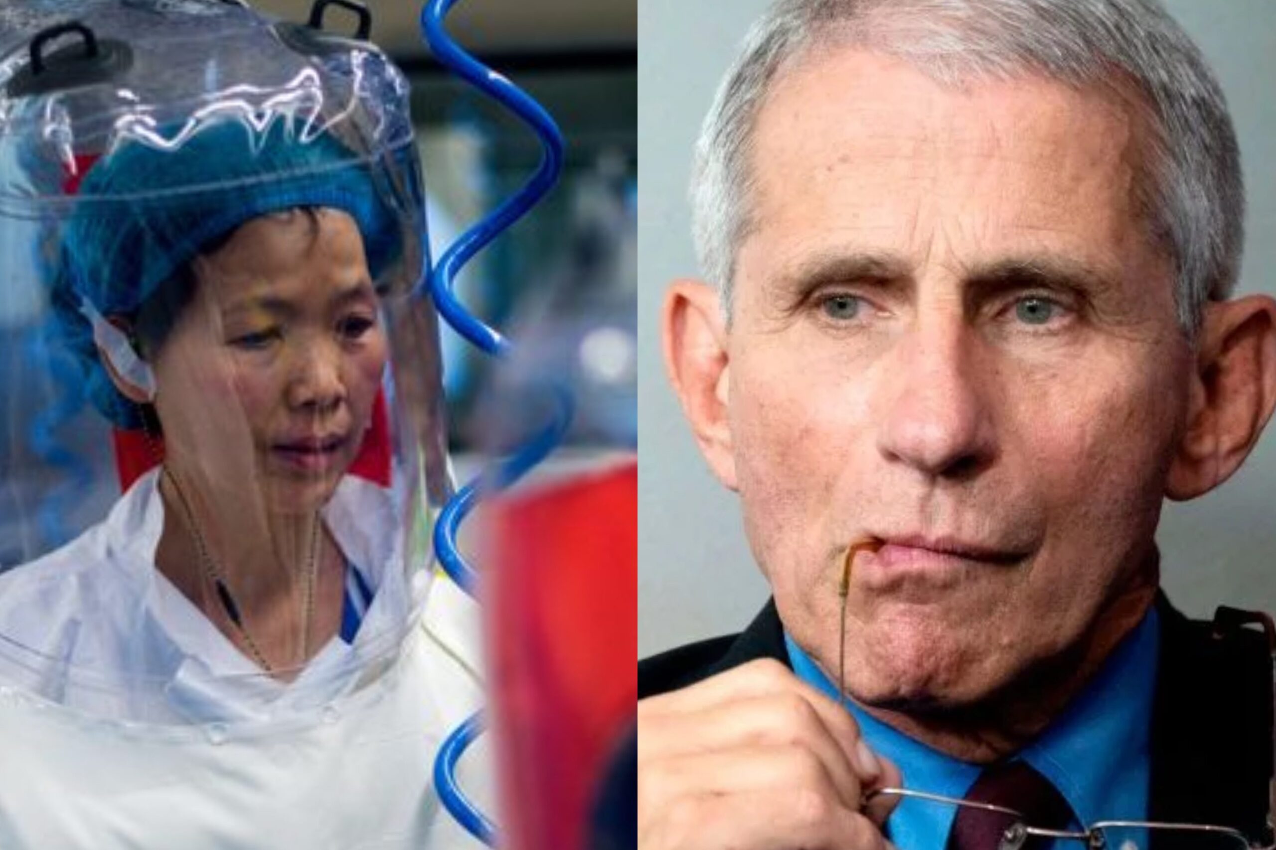 Revealed: Dr. Fauci Previously Argued For Risky Viral Experiments - Even if The Work Could Lead to a Deadly Pandemic | The Gateway Pundit | by Cristina Laila