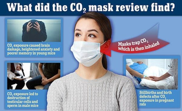 <div>New Study Suggests Carbon Dioxide Buildup from Wearing Face Masks Increase Risk of Stillbirths, Testicular Dysfunction, & Cognitive Deterioration</div>