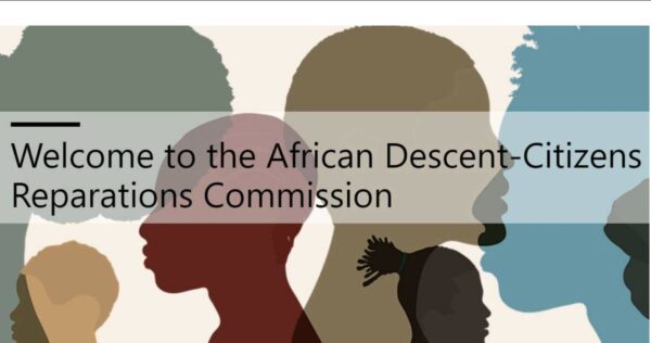 Illinois Launches African Descent-Citizens Reparations Commission Website