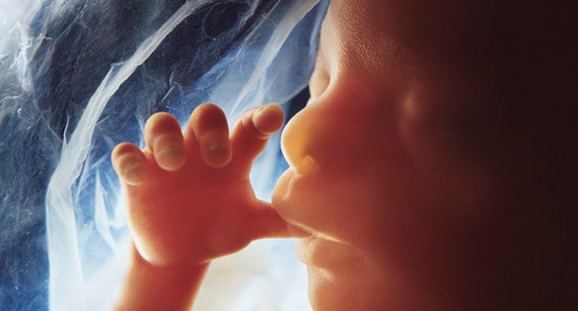 American College of Obstetricians and Gynecologists Op-Ed Supports No Limits on Abortion