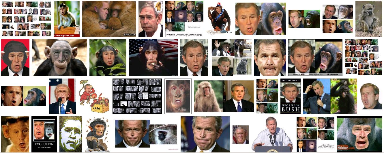 bush-monkey-via-legal-insurrection