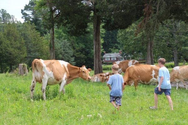 Government Overreach: Virginia Amish Farmer’s Livelihood on the Line Following Government Raid and Seizure of Property – Please Help and Donate