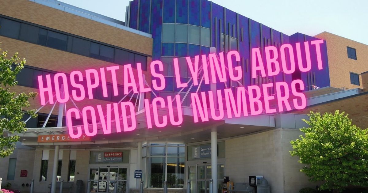 New Missouri COVID Whistleblower: HOSPITALS are LYING to the public about COVID... and I CAN PROVE IT | The Gateway Pundit | by Benjamin Wetmore