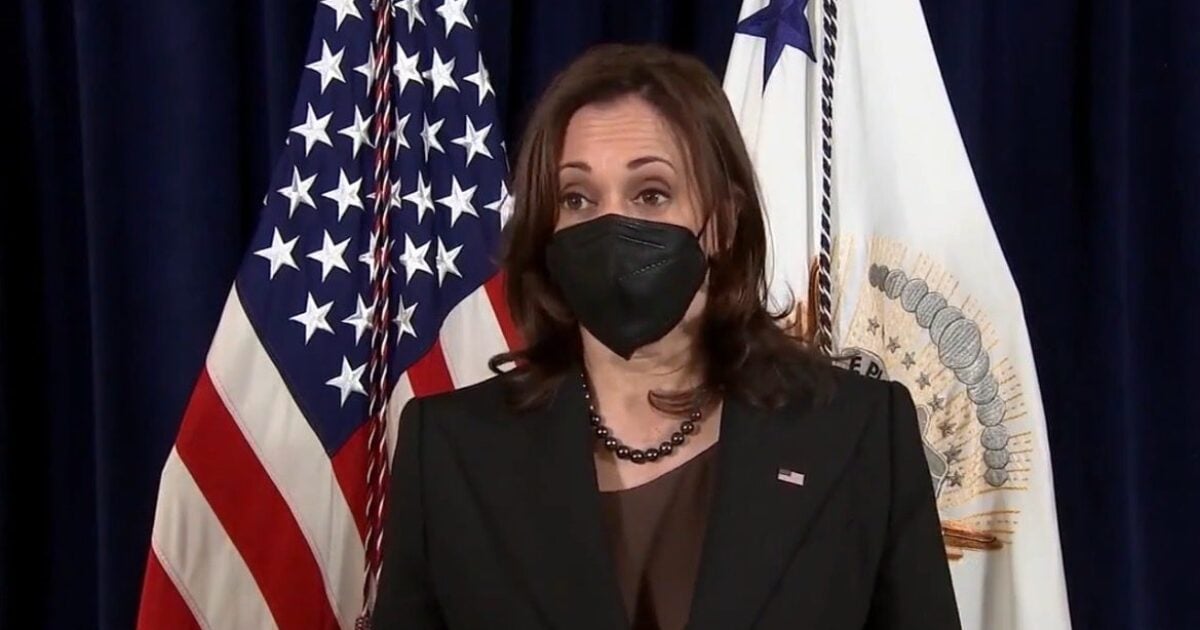 Kamala Harris Says One of Her "Expectations" This Year is Mass Amnesty For Millions of Illegal Aliens (VIDEO) | The Gateway Pundit | by Cristina Laila