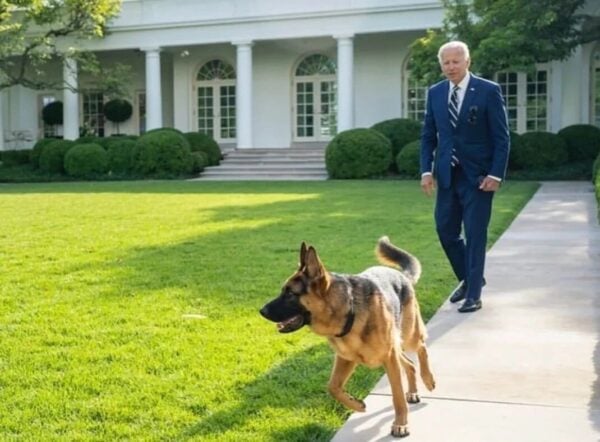 Sick: Biden Cracks Joke About His Dogs Attacking Secret Service Agents