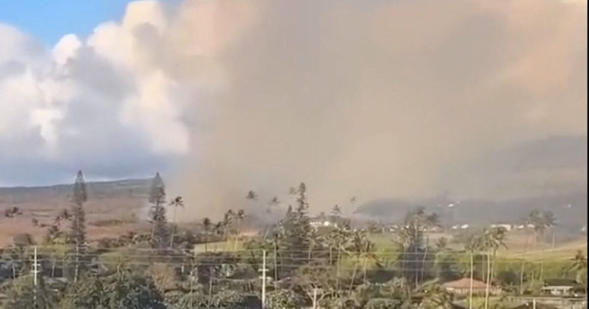 NextImg:Update: At Least 80 Dead, 1000 Still Missing, Additional Areas Evacuated from Wildfires in Hawaii | The Gateway Pundit | by Margaret Flavin
