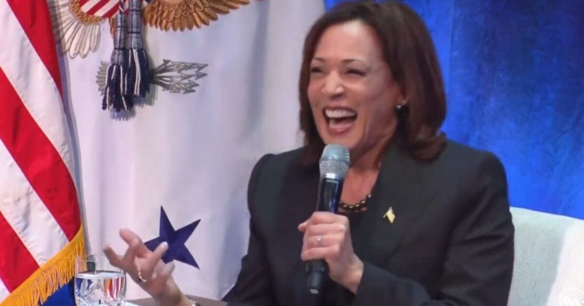 Grupos de Enfoque Recientes Sugieren que a NADIE le Gusta Kamala Harris o Quiere que Tome el Control | The Gateway Pundit