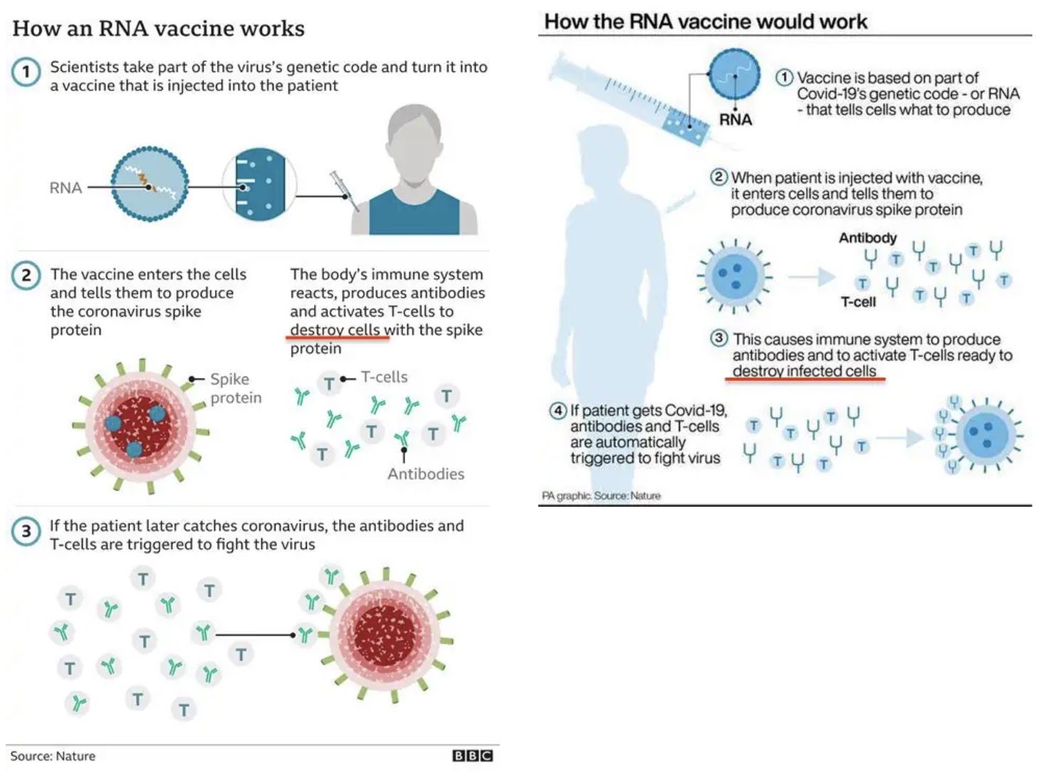 Do You Know Someone with ‘Long COVID’ and Vaccinated? Here’s a Guide for Spike Protein Detox by World Council for Health Screenshot-2023-02-04-at-9.12.45-AM