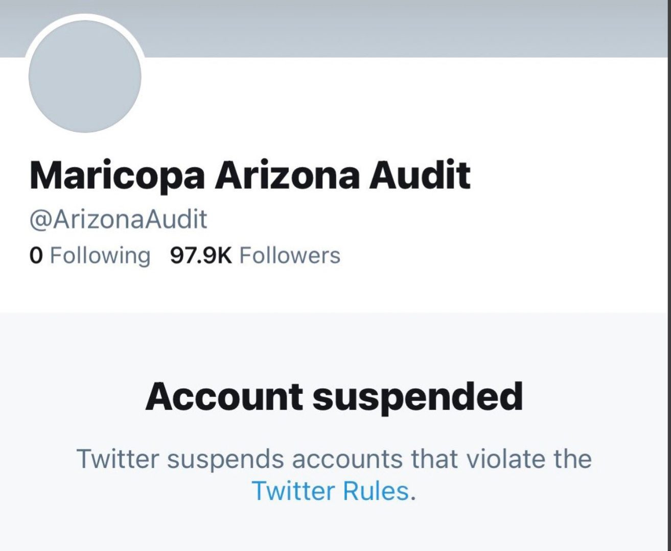 Breaking: Twitter Suspends All Election Audit 'War Room' Accounts; Senator Wendy Rogers Predicts She Will Be Next | The Gateway Pundit | by Julian Conradson