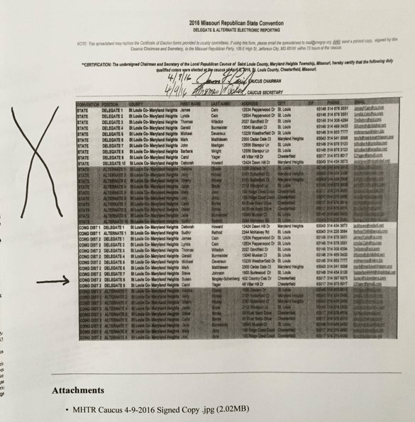 allmann document 1