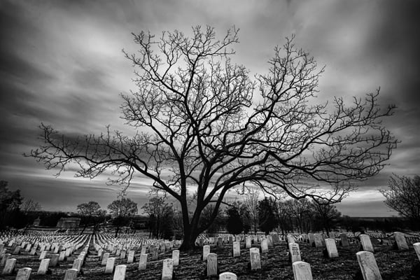 The Raised Bones of Arlington National Cemetery